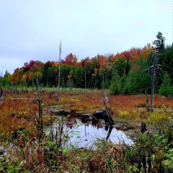 Meet your Posher, Kelly - Picture 2 of 9